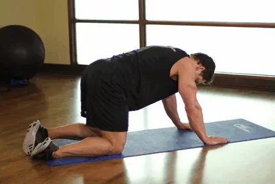 Animation of All Fours Quad Stretch