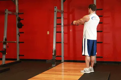Animation of Back Flyes - With Bands