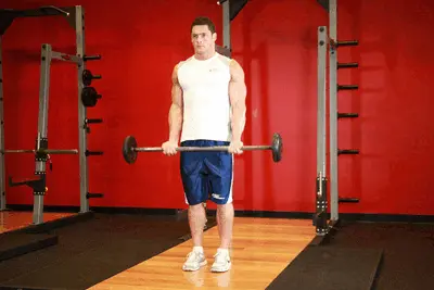 Animation of Barbell Curl