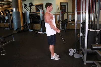 Animation of Cable Hammer Curls - Rope Attachment