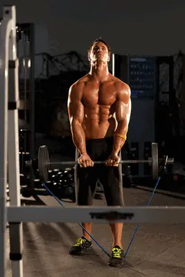 Animation of Close-Grip EZ-Bar Curl with Band