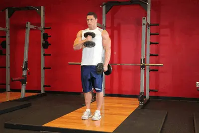 Animation of Cross Body Hammer Curl