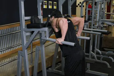 Animation of Dips - Triceps Version