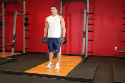 Animation of Dumbbell Bicep Curl