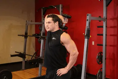 Animation of Dumbbell One-Arm Triceps Extension