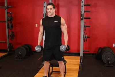 Animation of Dumbbell Squat To A Bench