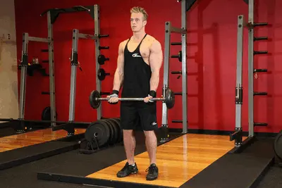 Animation of EZ-Bar Curl