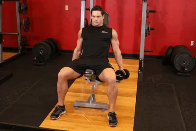 Animation of Flexor Incline Dumbbell Curls
