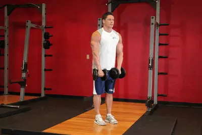Animation of Front Dumbbell Raise