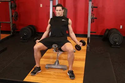 Animation of Incline Inner Biceps Curl