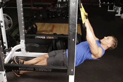 Animation of Inverted Row with Straps