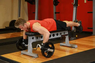 Animation of Lying Cambered Barbell Row
