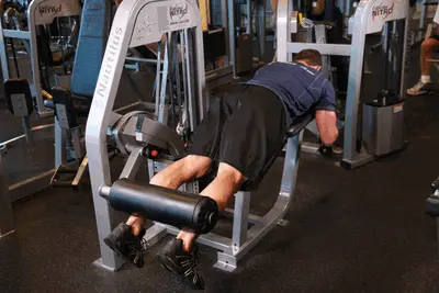 Animation of Lying Leg Curls